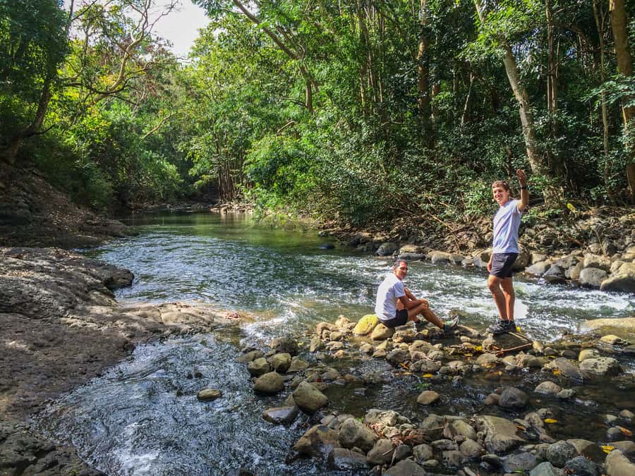 Mauritius: Black River Gorges National Park 3-Hour Hike - Viewpoints where the forest opens to the sea
