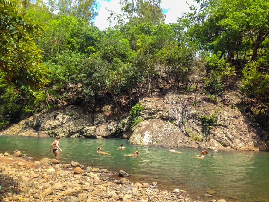 Mauritius: Black River Gorges National Park 3-Hour Hike - The river swim makes a fine finish