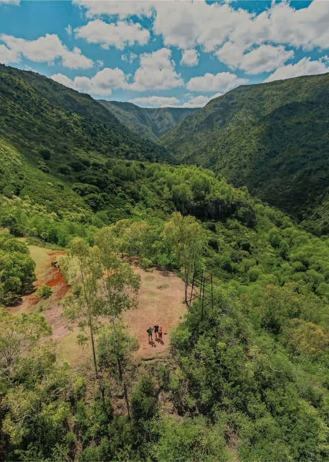Mauritius: Black River Gorges National Park 3-Hour Hike - Who should book this hike?