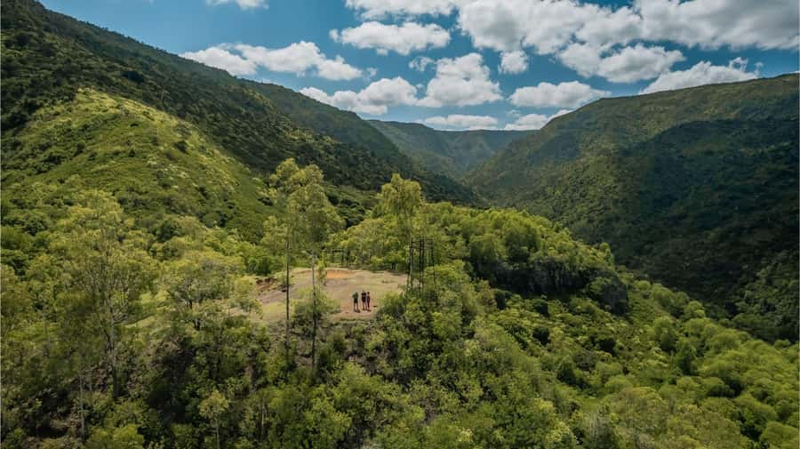 Mauritius: Black River Gorges National Park 3-Hour Hike - Meeting at Riverview Commercial Centre