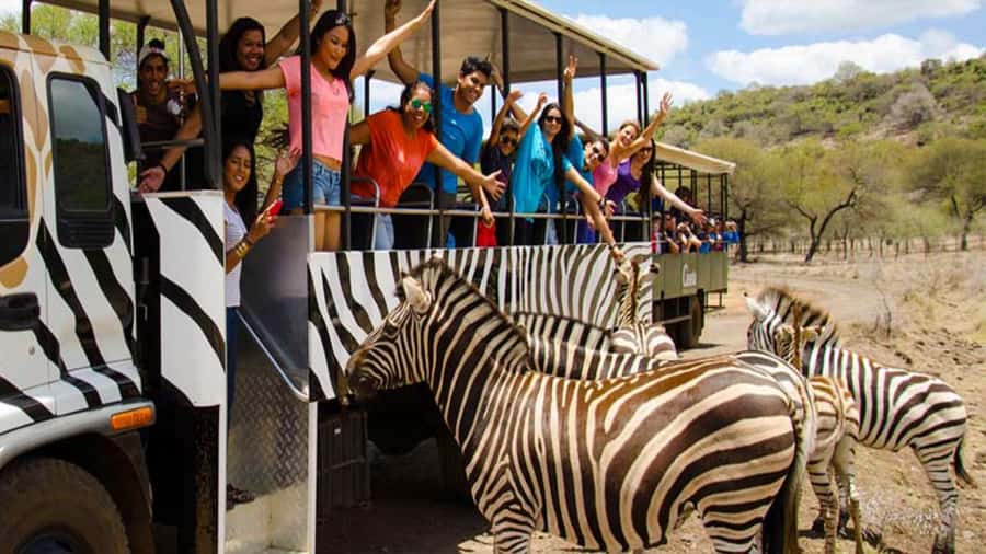 Mauritius: Casela Nature Parks Entrance Ticket with Transfer - Choosing extra adventures, including Safari Quad and Canyon Swing