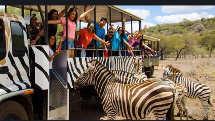Mauritius: Casela nature parks & flic en flac beach - What this Casela and Flic en Flac day actually offers
