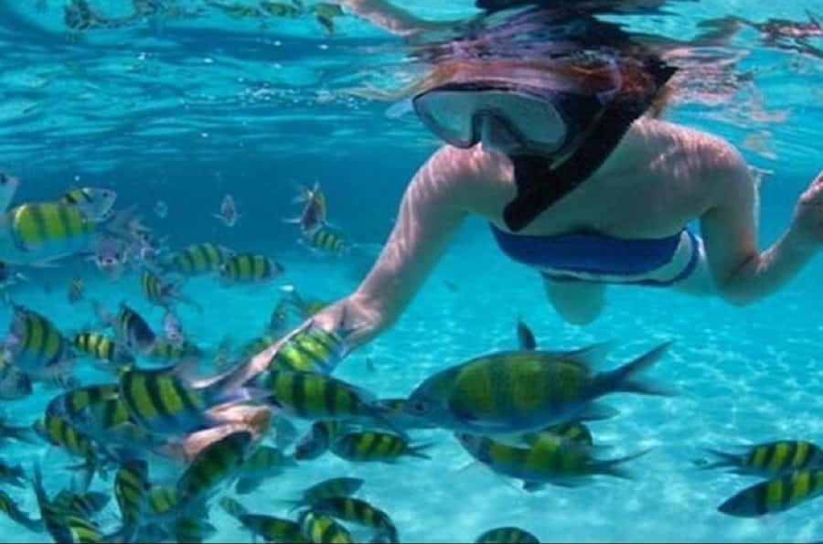 Mauritius: Catamaran cruise to 3 Northern Isles with lunch - Key points at a glance