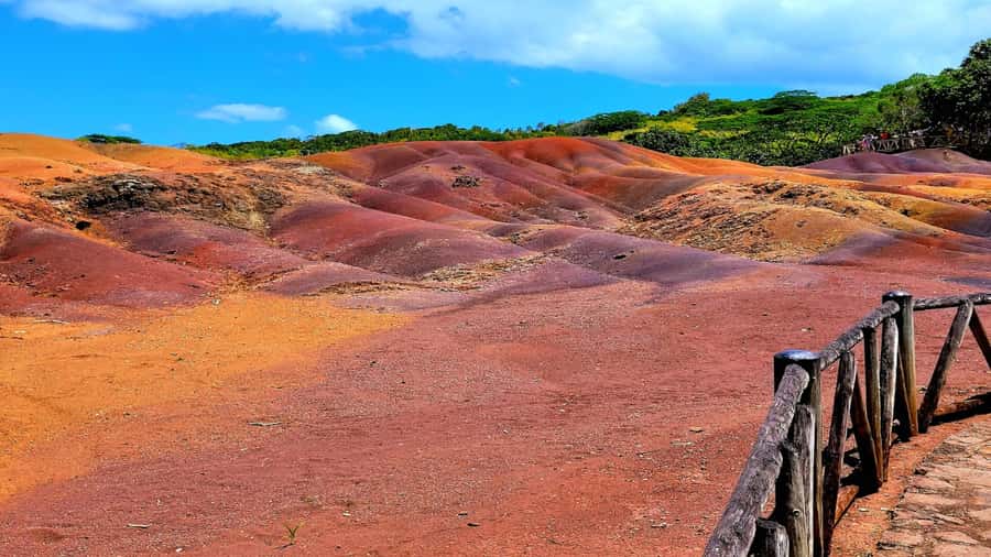 Mauritius: Chamarel 7 Colours & Waterfalls, South-West Tour - Mare aux Vacoas and the changing view from the road