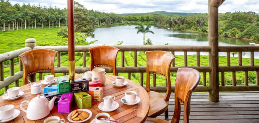 Mauritius: Crocodile Park and Tea Factory Tour with Tasting - Key points at a glance