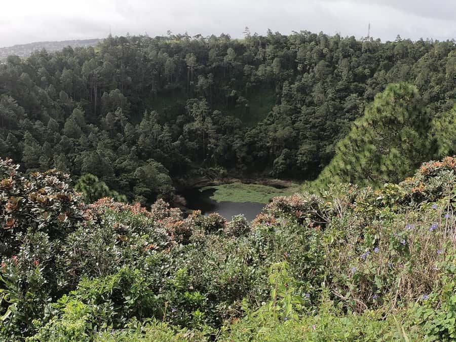 Mauritius: Dolphin Encounter, Trou aux Cerf and Grand Bassin - Key points at a glance