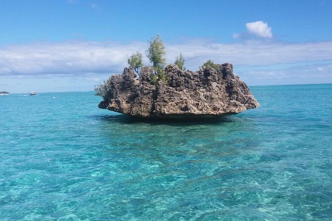 Mauritius : Dolphins Swim and Ile Aux Bénitiers with BBQ - A Six-Hour Morning From Tamarin Public Beach