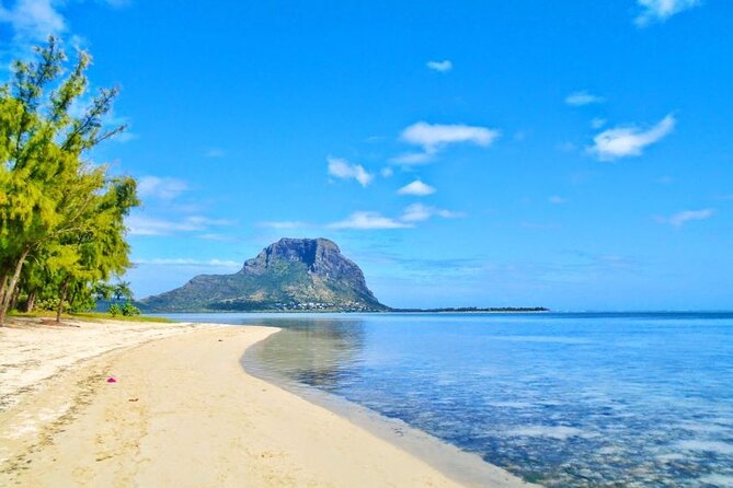 Mauritius : Dolphins Swim and Ile Aux Bénitiers with BBQ - Is $73.17 Good Value?