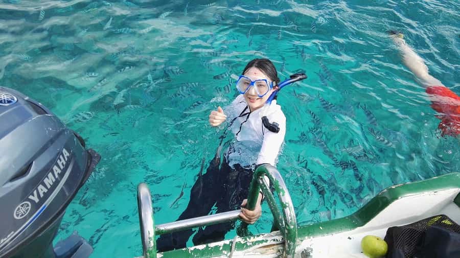 Mauritius: Dolphins watch half-day - An early start for Mauritius’s west coast