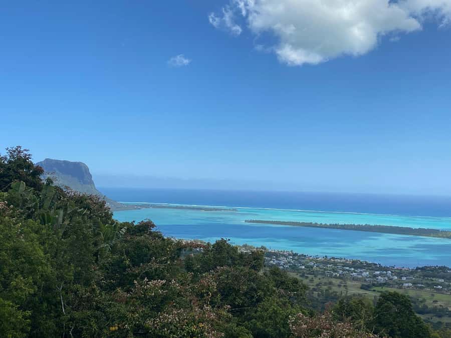 Mauritius: Dolphins watch half-day - Watching dolphins in open water