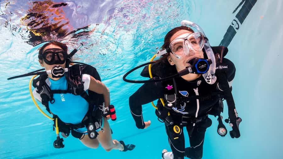 Mauritius: East Belle Mare Scuba Diving Tour - Key points to know before booking
