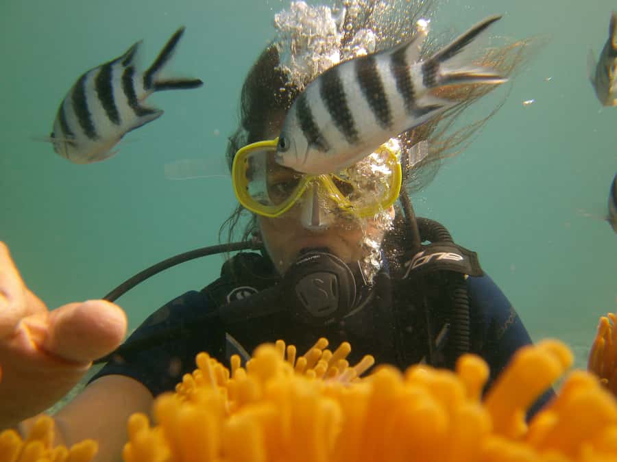 Mauritius: East Belle Mare Scuba Diving Tour - Is the East Coast scuba experience worth booking?