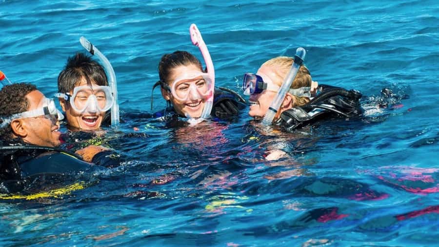 Mauritius: East Belle Mare Scuba Diving Tour - Starting in Belle Mare with a proper safety briefing