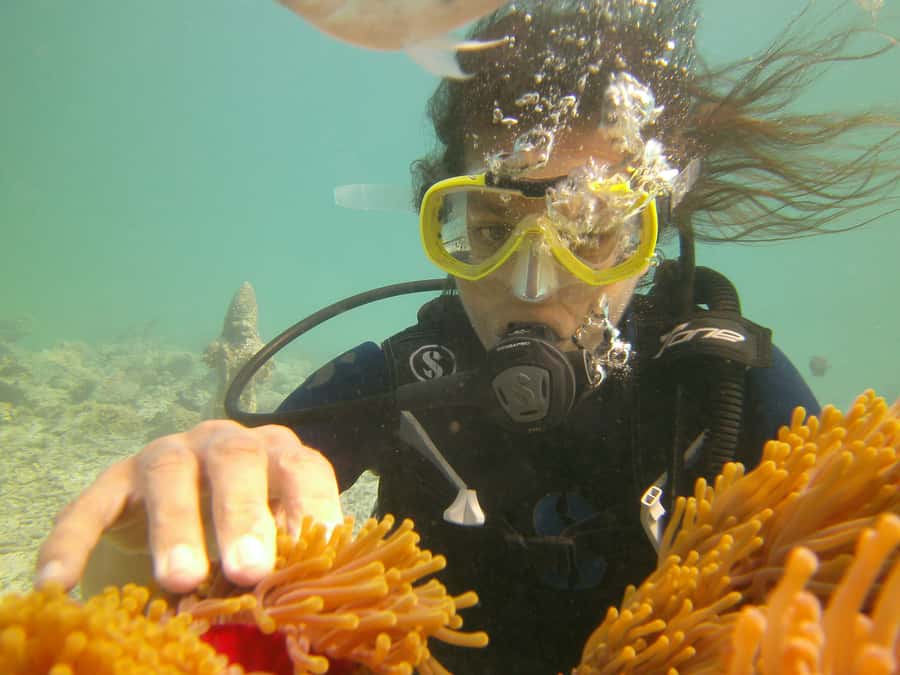 Mauritius: East Belle Mare Scuba Diving Tour - What the $158 price really covers