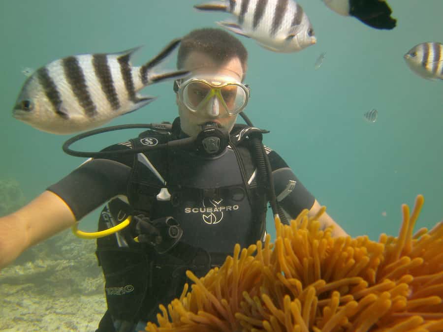 Mauritius: East Belle Mare Scuba Diving Tour - The instructors are the strongest part