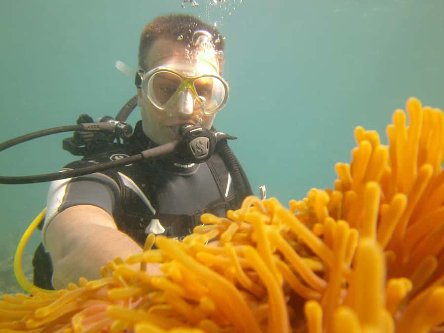 Mauritius: East Belle Mare Scuba Diving Tour - Weather, comfort, and practical expectations