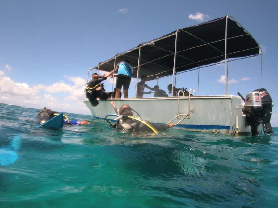 Mauritius: East Belle Mare Scuba Diving Tour - Who will get the most from this experience?