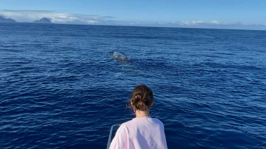 Mauritius: Eco-Friendly Private Whale Watching - Snorkeling, swimming, and breakfast with the engines off