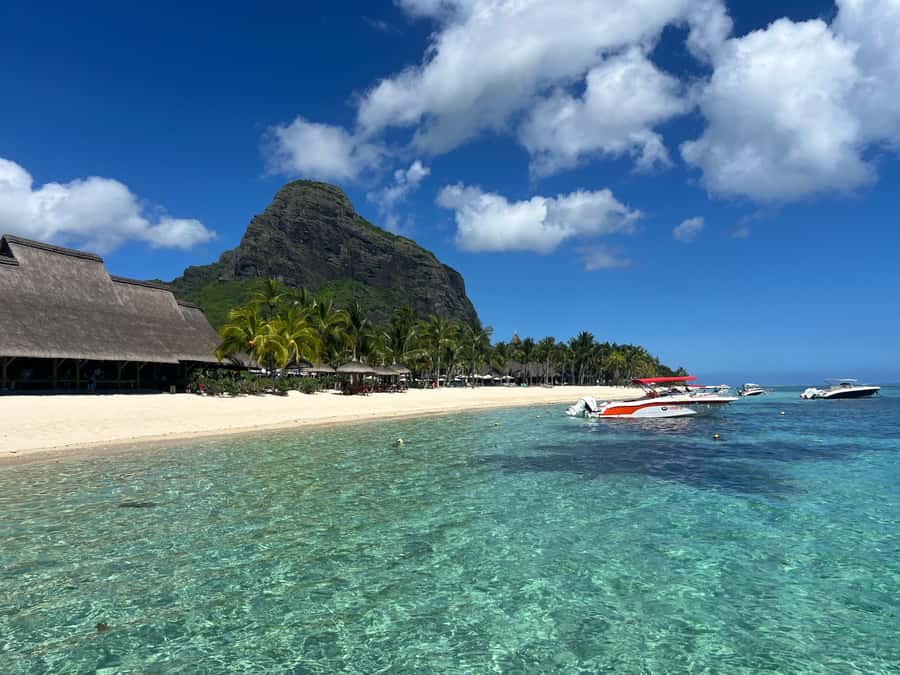 Mauritius: Eco-Friendly Private Whale Watching - Should you book it?
