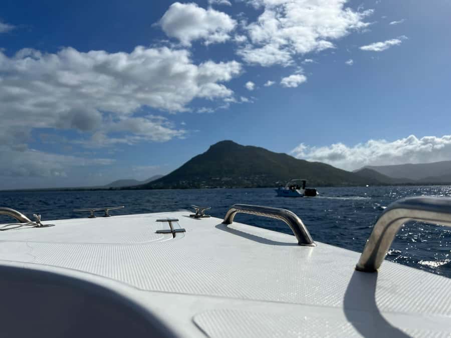 Mauritius Eco Whales Quest, 3-4 hours Expedition - Humpback whales and the most exciting sightings