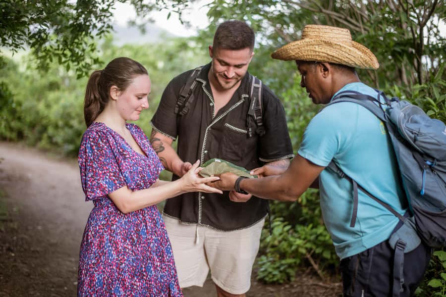 Mauritius: Exclusive Le Morne Sunset Hike & Aperitivo - What the $141 price includes