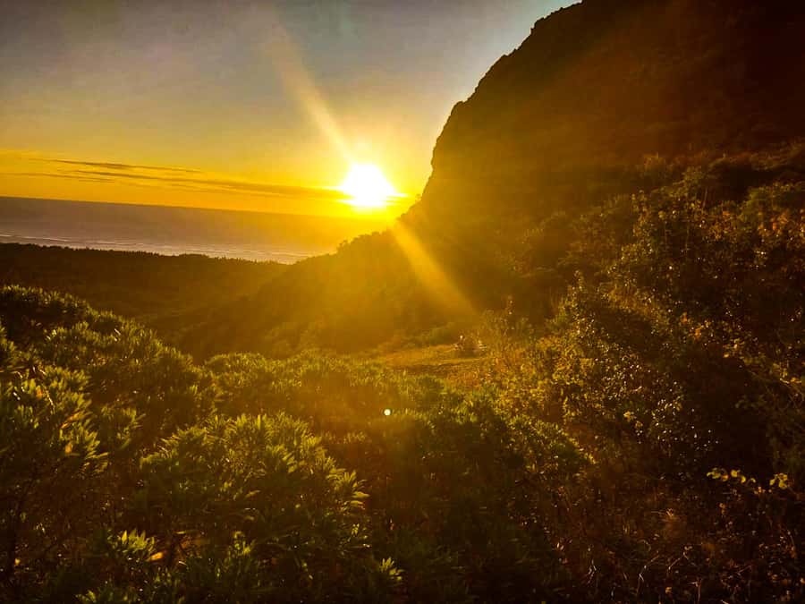 Mauritius: Exclusive Le Morne Sunset Hike & Aperitivo - The 1.5-hour climb up Le Morne