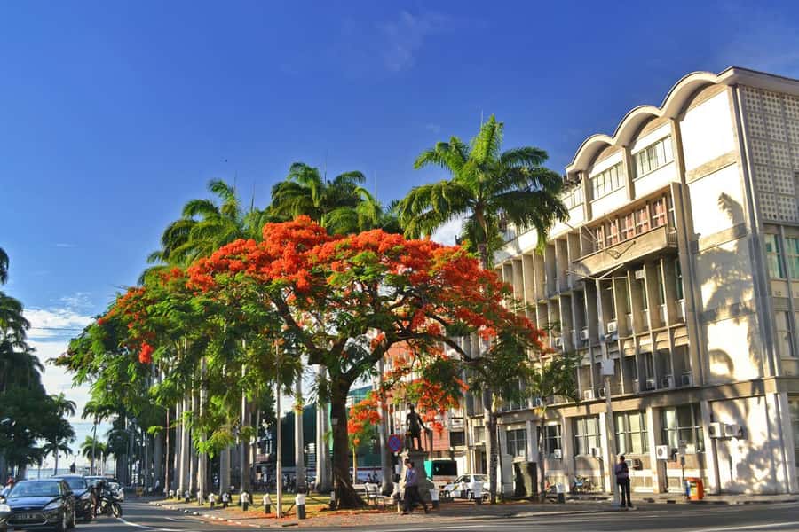 Mauritius: Exclusive North Tour with Pickup - Why this north Mauritius tour works