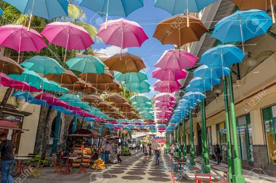 Mauritius: Exclusive North Tour with Pickup - LAventure du Sucre: Mauritius explained through sugar
