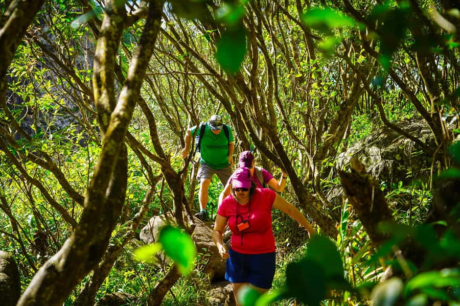 Mauritius: Exploring the Tamarind Falls with a Guide - Key points to know before you go