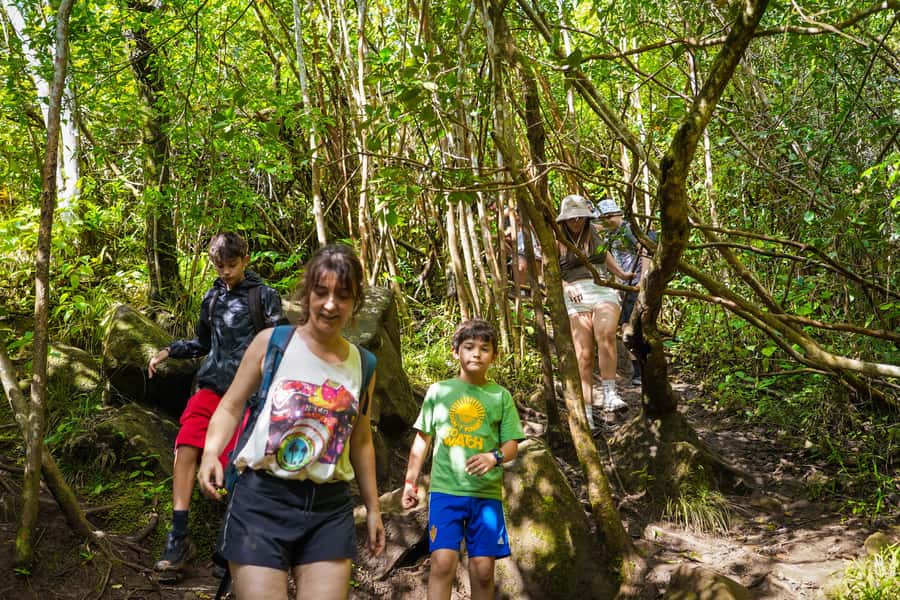 Mauritius: Exploring the Tamarind Falls with a Guide - The best reasons to book, and the limits