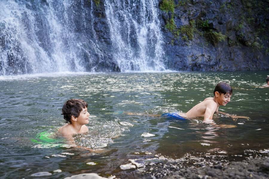 Mauritius: Exploring the Tamarind Falls with a Guide - Through the rainforest and across the river