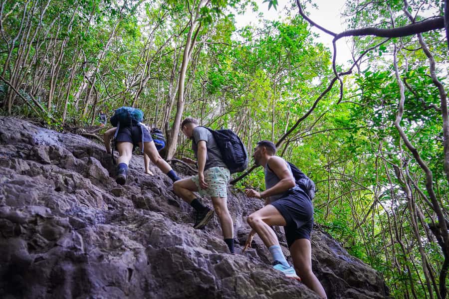 Mauritius: Exploring the Tamarind Falls with a Guide - The platforms, pools, and connected cascades