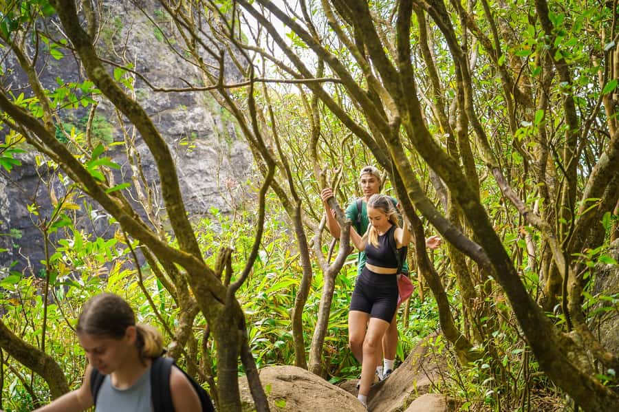 Mauritius: Exploring the Tamarind Falls with a Guide - How hard is the hike?