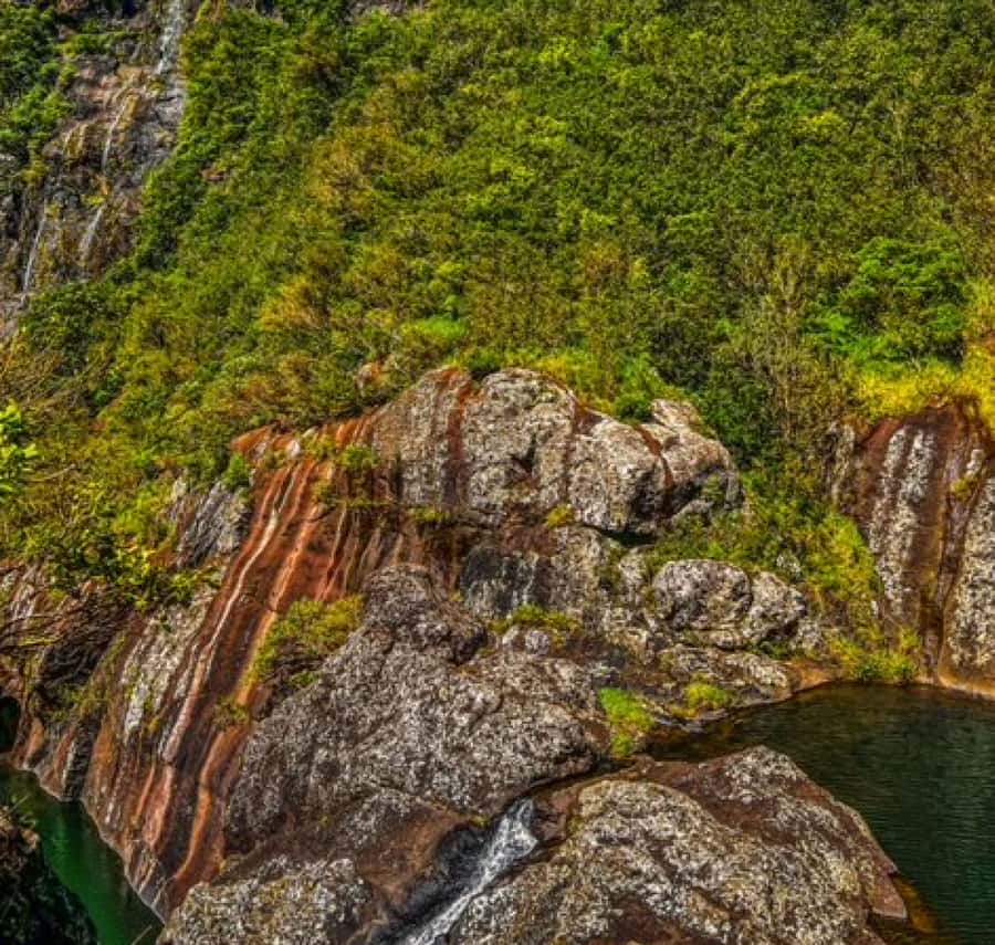 Mauritius: Full Canyon Tamarind Falls 5-Hour Hike - Starting at Henrietta Bus Station