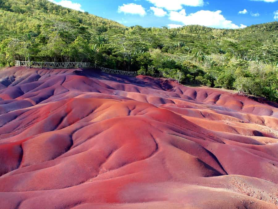 Mauritius: Full Day Private Tour of the South - Why a private car helps on Mauritius