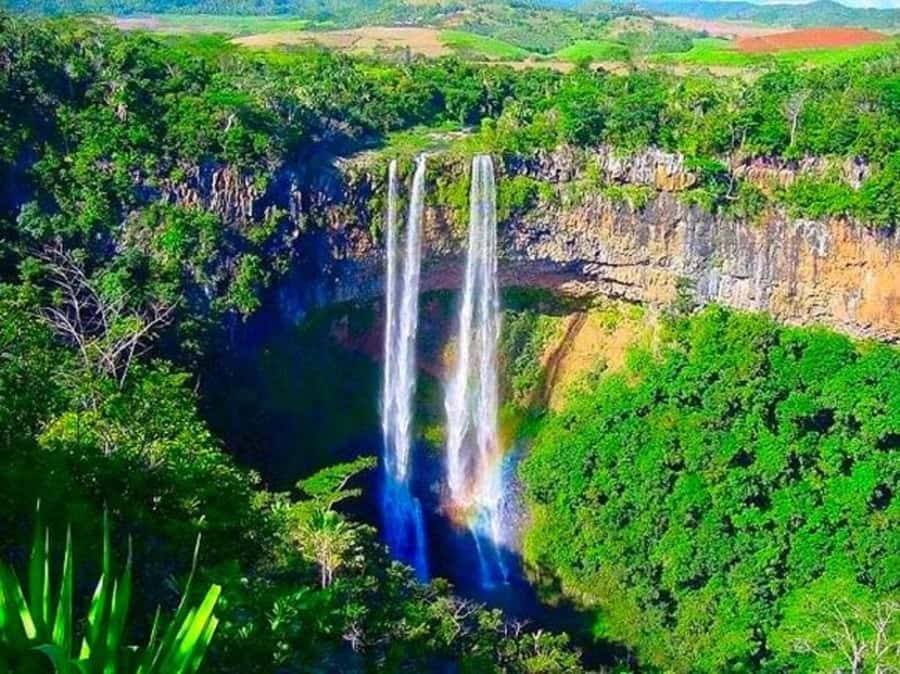 Mauritius: Full Day Private Tour of the South - Ship models, craftsmanship, and the commercial side