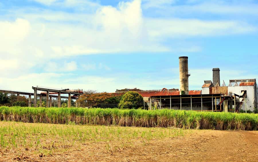 Mauritius: Full-Day Quad Bike Tour with Lunch - Rochester Falls and a possible freshwater swim