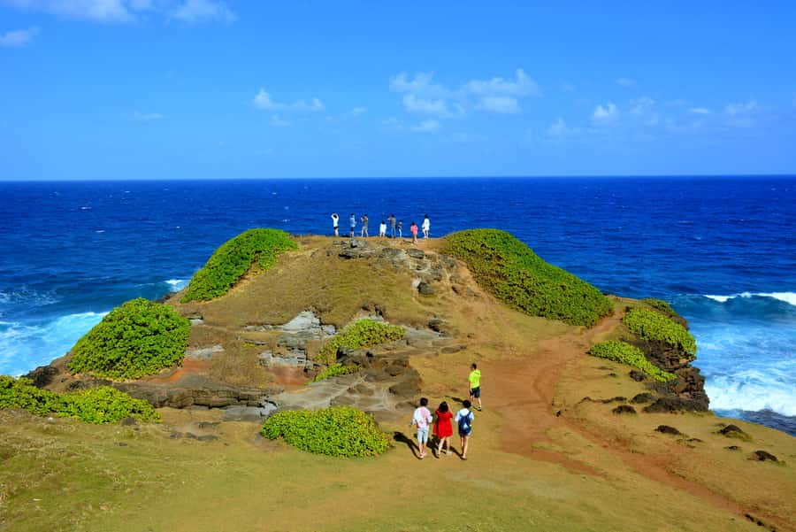 Mauritius: Full-Day Quad Bike Tour with Lunch - La Vanille Nature Park, crocodiles, and giant tortoises