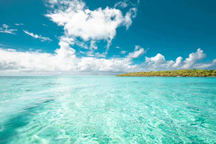 Mauritius: Full-Day Speedboat Tour to Ile aux Cerfs & BBQ - The D’Alblair Wreck and Île aux Fouquets Lighthouse