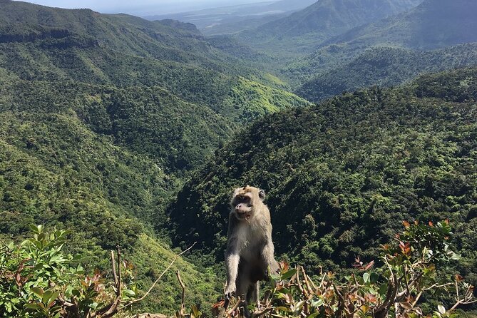 Mauritius full day tour : Private south west with lunch - Local Coffee, Rum, and the Taste of Chamarel