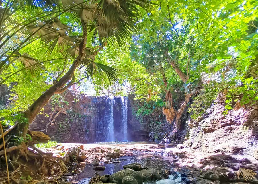 Mauritius: Gris Gris Beach & Mamzelle Waterfall Guided Tour - Starting at Gris Gris public beach