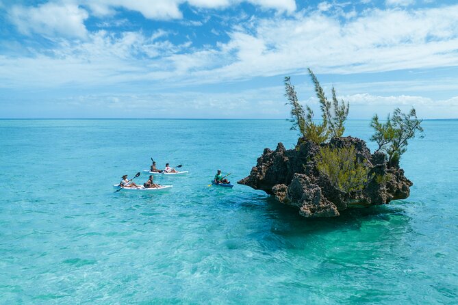 Mauritius Guided Kayak Experience to Benitiers Island - What makes the guide important