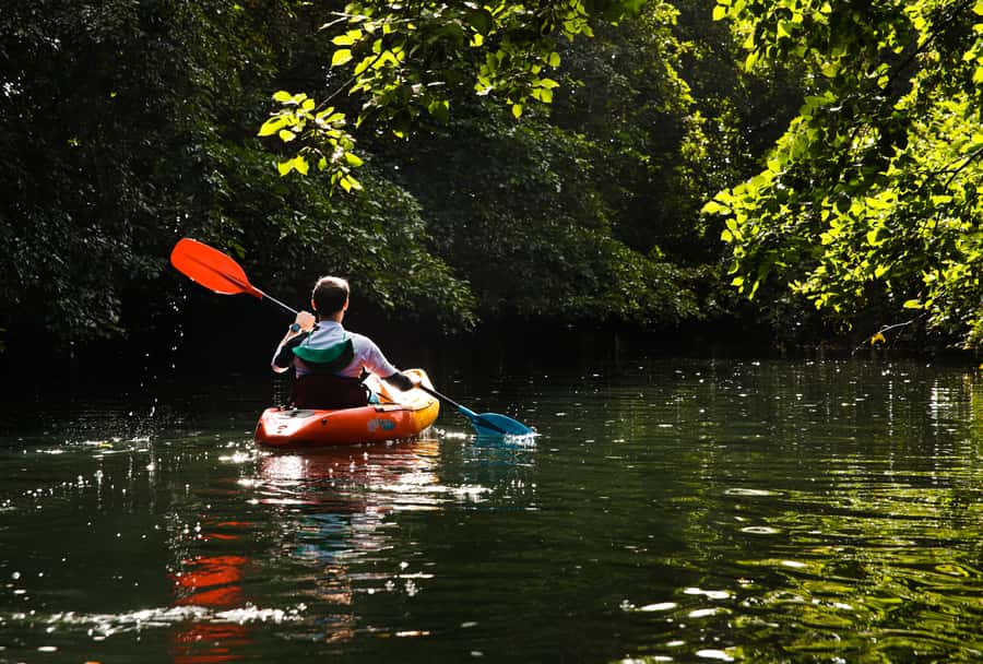 Mauritius: Guided Kayak Tour on Tamarin River - Wildlife watching without a guarantee