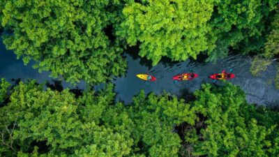 Guided Kayak Tour on Tamarin River