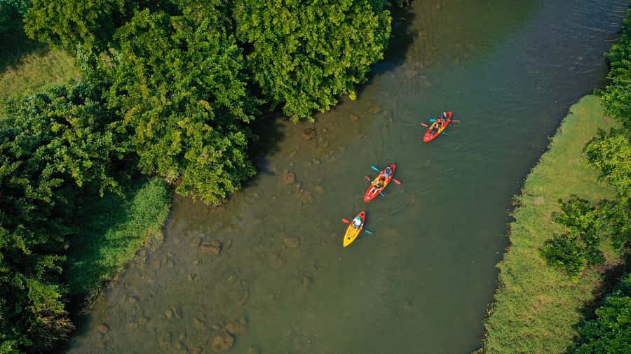 Mauritius: Guided Kayak Tour on Tamarin River - Local stories, mountain views, and the human side of the river