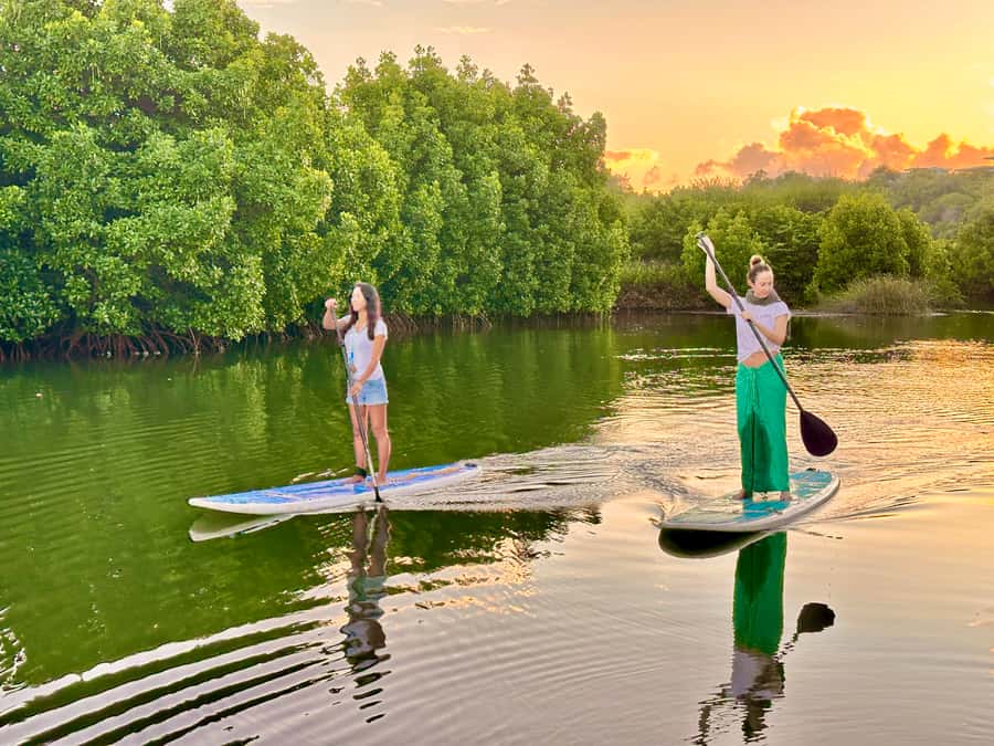 Mauritius: Guided Stand Up Paddle Tour on Tamarin River - Starting at Tamarin Bay beside the ocean