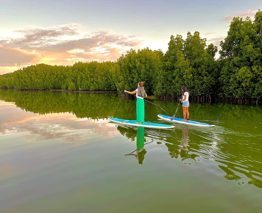 Mauritius: Guided Stand Up Paddle Tour on Tamarin River - Following the two arms of the Tamarin River