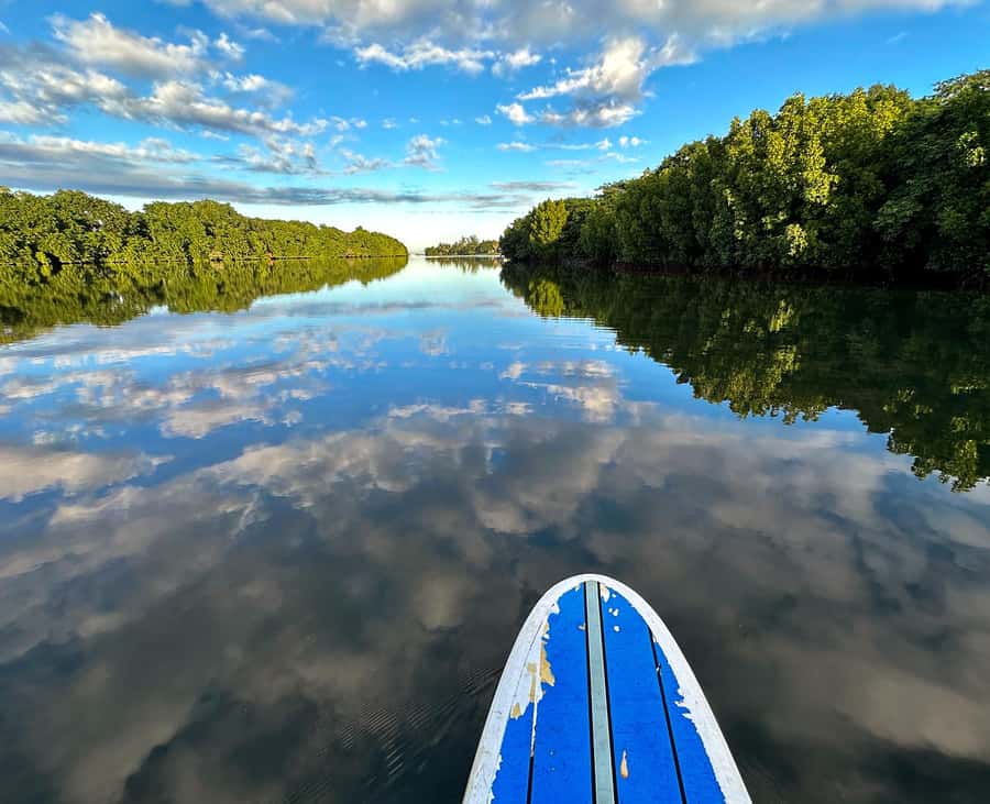 Mauritius: Guided Stand Up Paddle Tour on Tamarin River - Hearing Tamarin’s story from a local guide