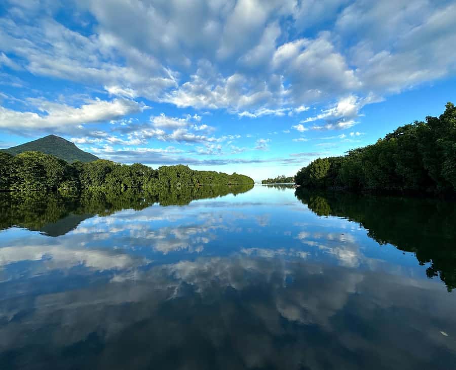 Mauritius: Guided Stand Up Paddle Tour on Tamarin River - Practical preparation for the river