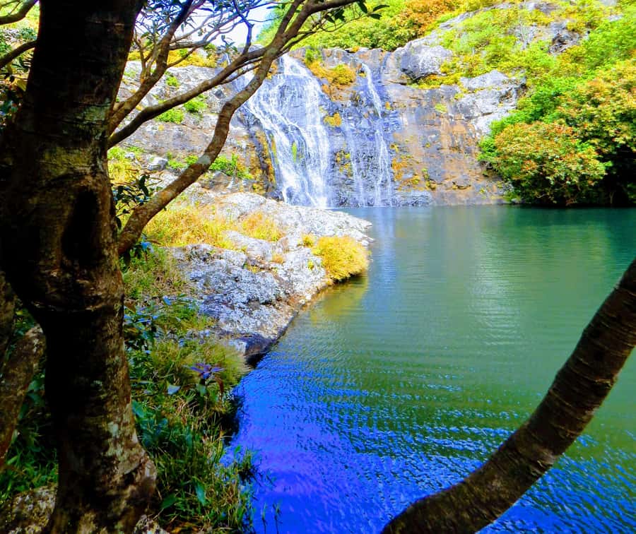 Mauritius: Guided Tamarind Falls Hike with Hotel Transfers - Why Tamarind Falls is worth leaving the beach